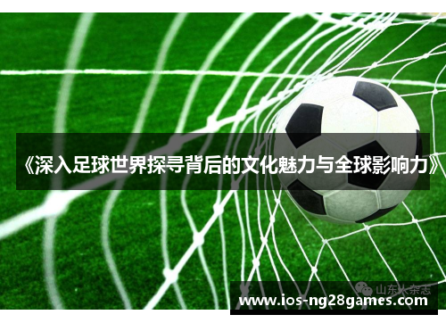 《深入足球世界探寻背后的文化魅力与全球影响力》