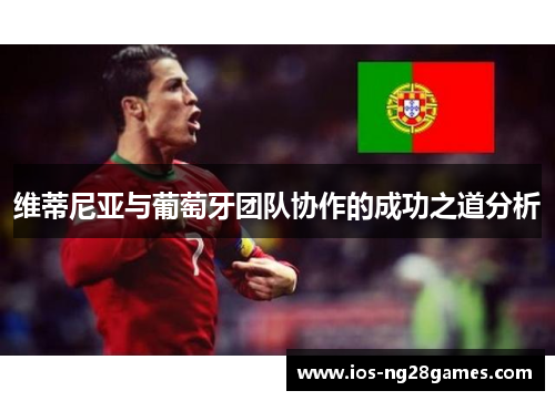 维蒂尼亚与葡萄牙团队协作的成功之道分析