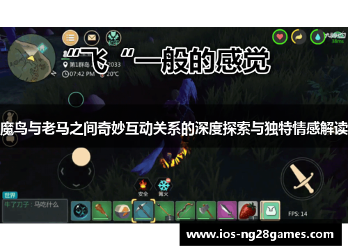 魔鸟与老马之间奇妙互动关系的深度探索与独特情感解读