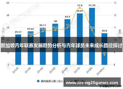 新加坡青年联赛发展趋势分析与青年球员未来成长路径探讨